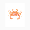 Marissa Watercolor Crab Nautical Art Print